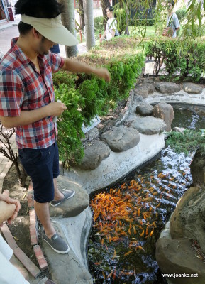 Jason feeding goldfish